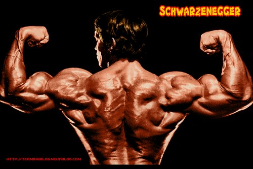 arnold-schwarzenegger-20060202-106095