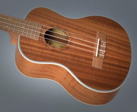 Hricane Ukulele Review (2020 Edition) by Sean R. – music easily!