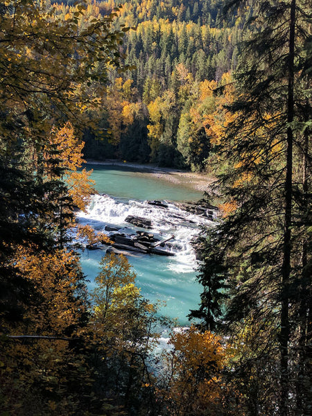 Fitzy Cross Canada Road Trip - Rearguard Falls in BC