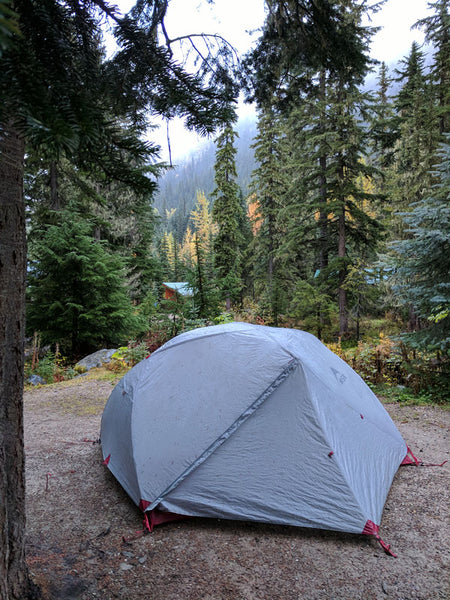 Fitzy Cross Canada Road Trip - Camping in Glacier National Park Canada