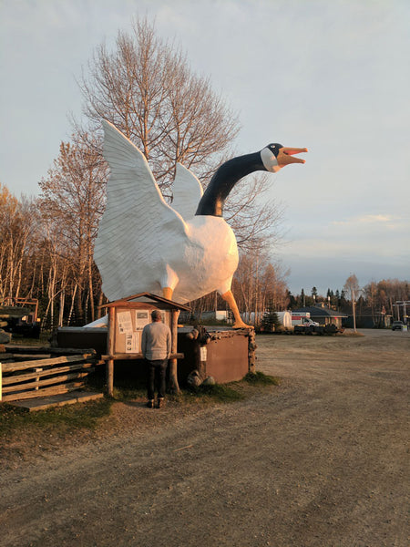 Fitzy Cross Canada Road Trip - The Original Goose in Wawa Ontario