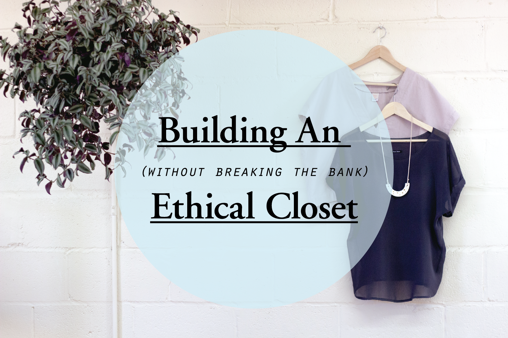 Fitzy Building an Ethical Closet Without Breaking the Bank