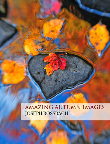 Amazing Autumn Images Instructional eBook