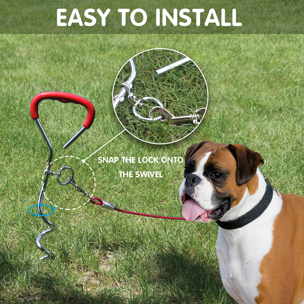 leash stake for dog