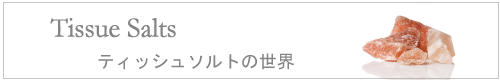 ティッシュソルト