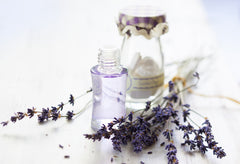 Making Lavender Oil or a Lavender Oil Tincture