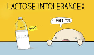 intoleransi laktosa manfaat yoghurt