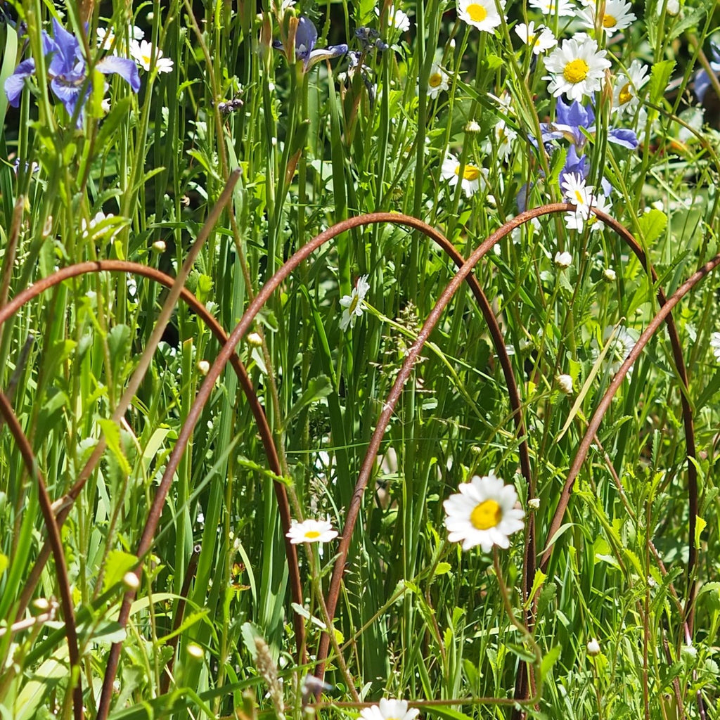 Edging Hoops, border edge metal plant supports, fencing