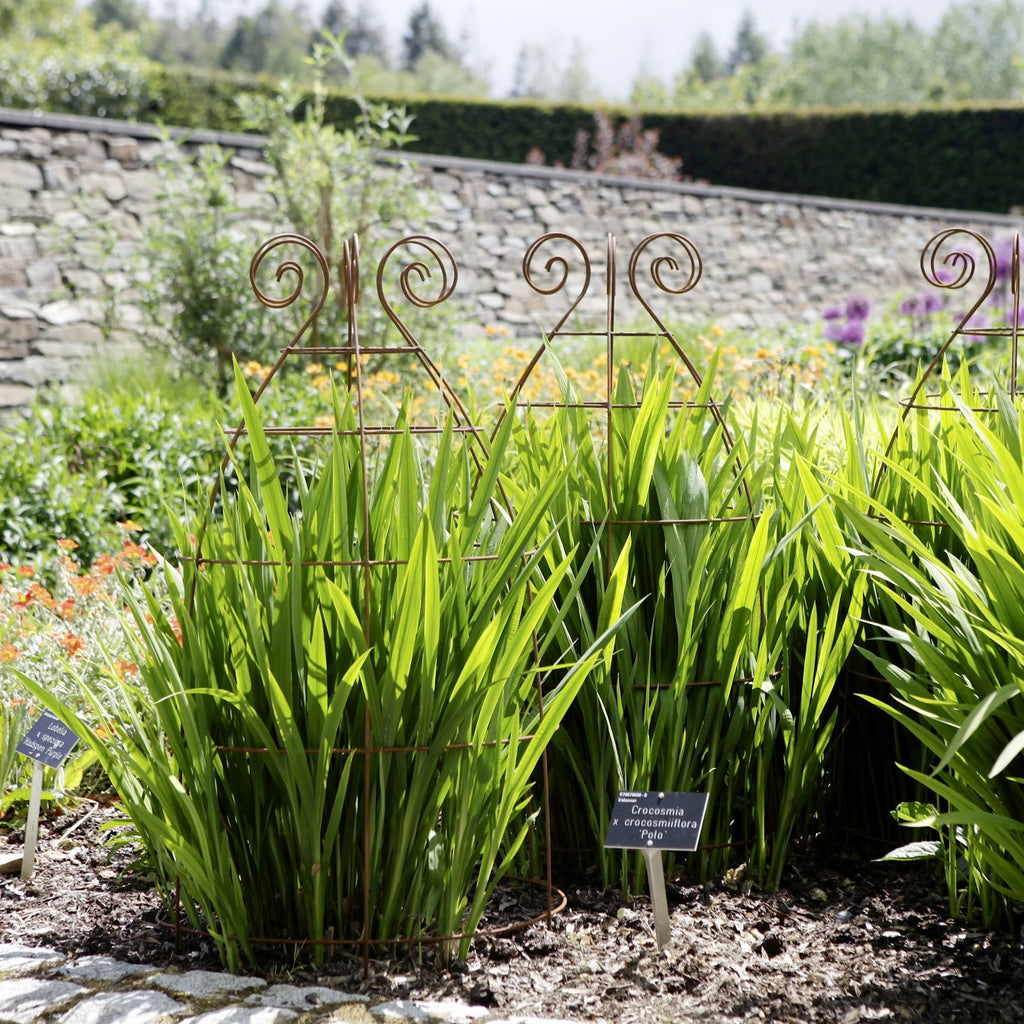 Plant supports at RHS Rosemoor gardens - Plant Belles