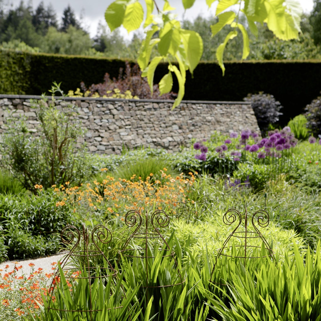 Plant supports at RHS Rosemoor gardens - Plant Belles