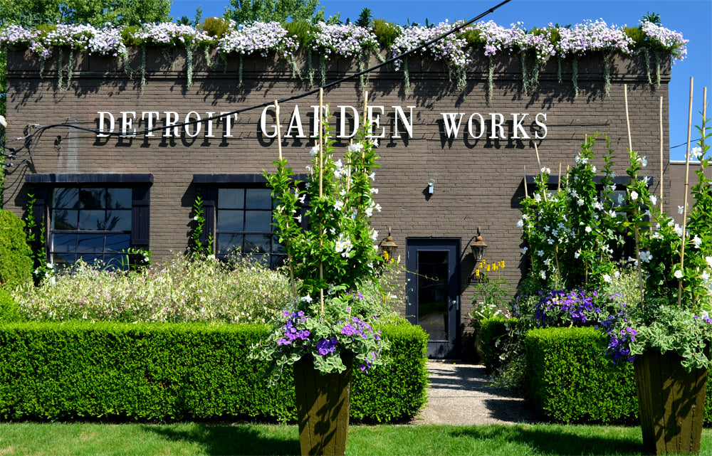 Plant Belles heading to America for Detroit Garden Works