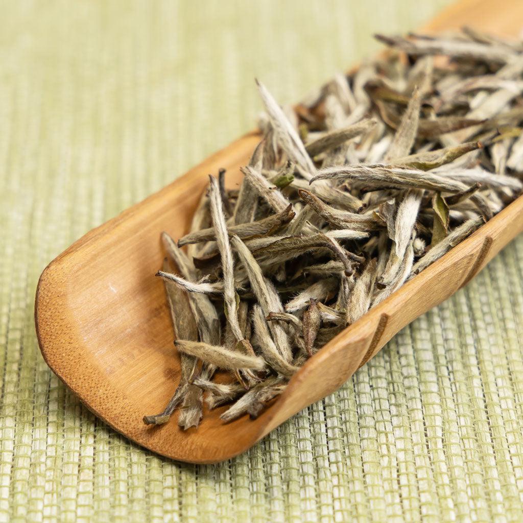 The history of white tea - Lapsangstore
