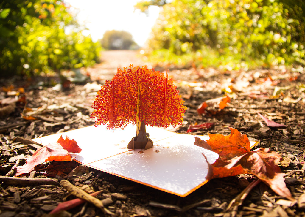 Lovepop Oak Tree Pop Up Card