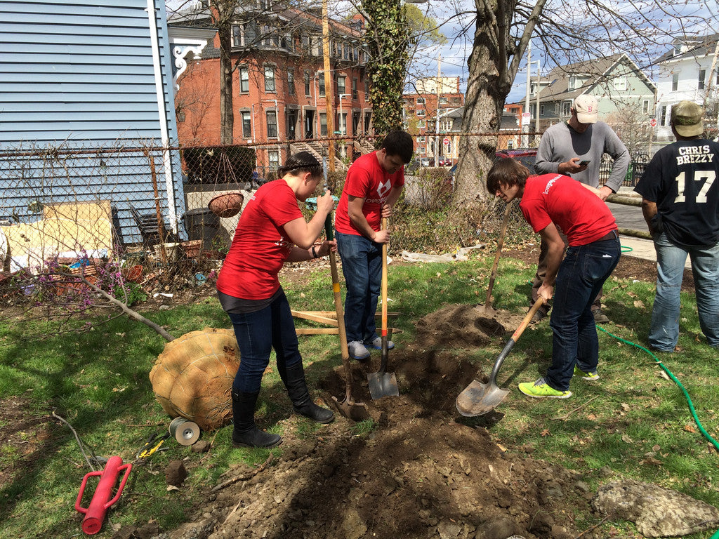 Lovepop Arbor Day