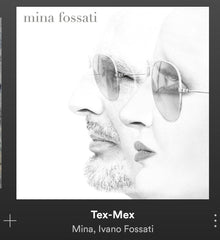 tex mex-wine and music-casa lucii