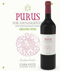 purus-wine and music-casa lucii
