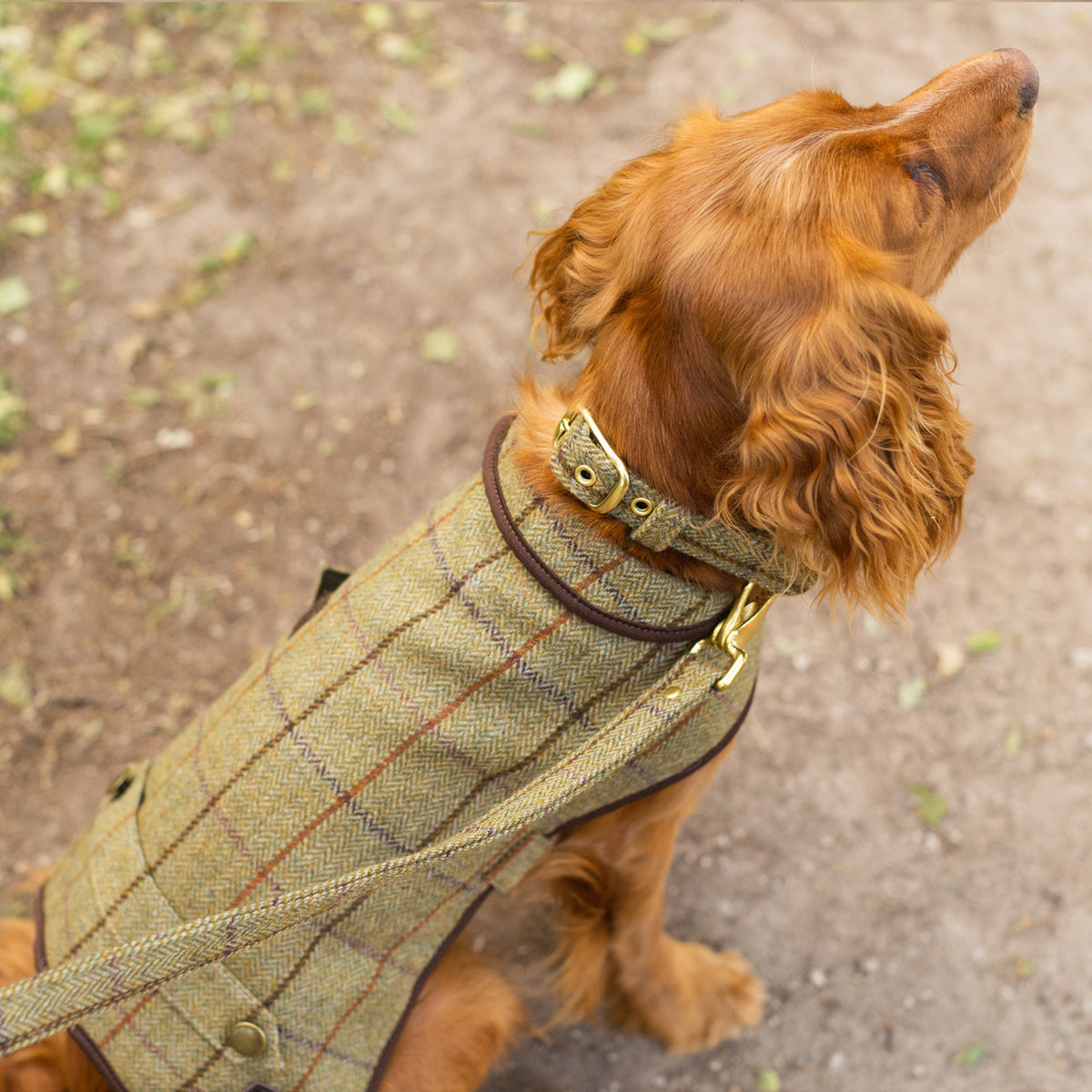 barbour ace quilted jacket