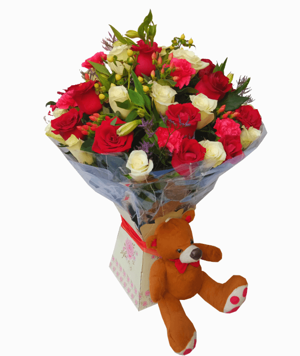 amor bear roses