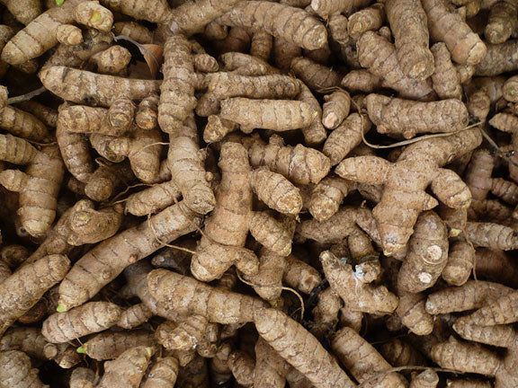 Turmeric Cultivation