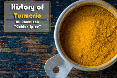 history of turmeric