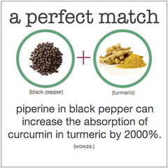 turmeric curcumin black pepper