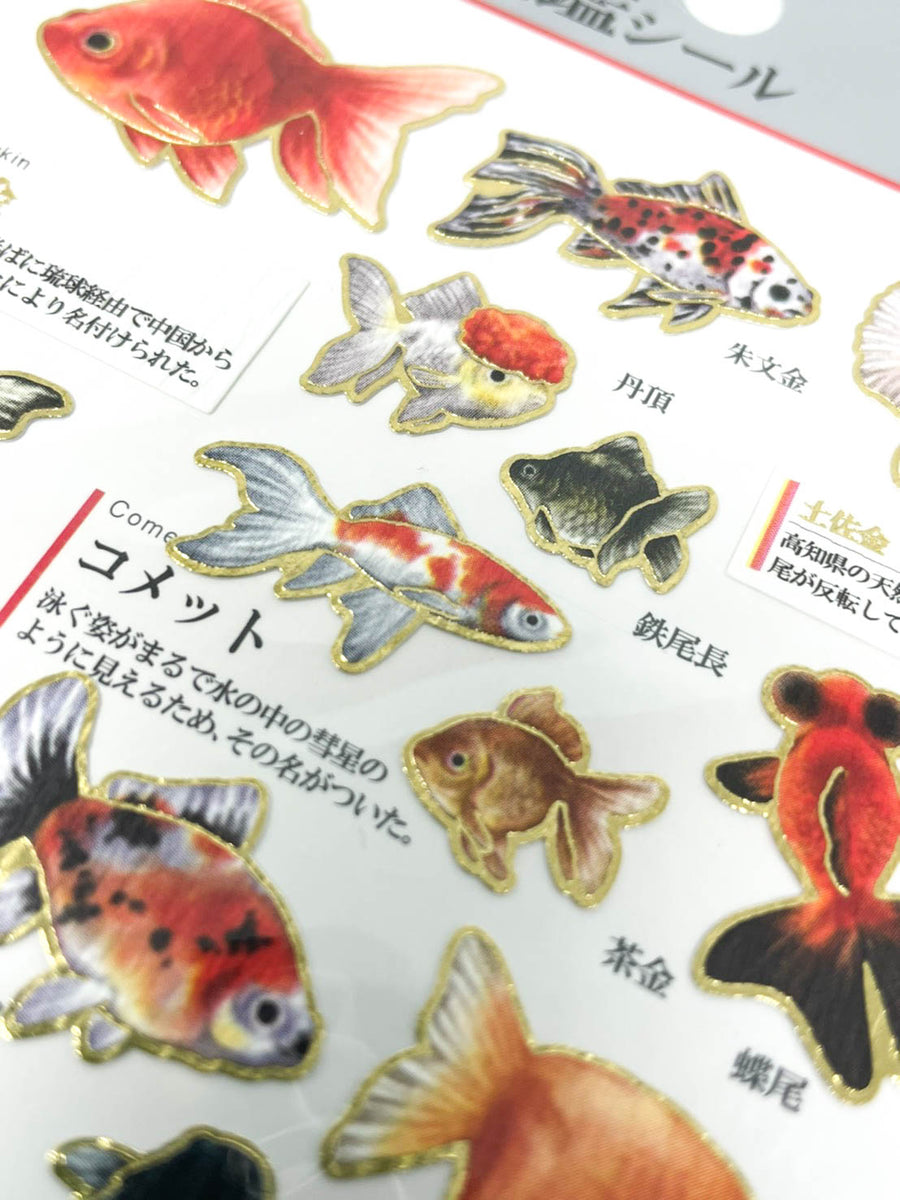 金魚 高知 「アートアクアリウム展」運営会社が批判を受けていた金魚の管理についてコメント