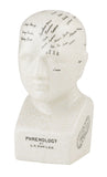 Phrenology Head by Sourceress