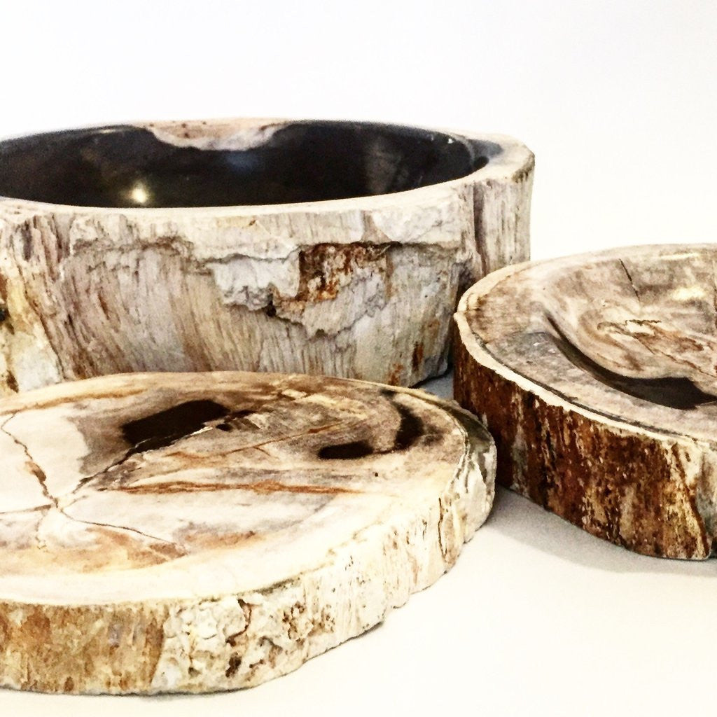 Petrified Wood Bowls and Slabs