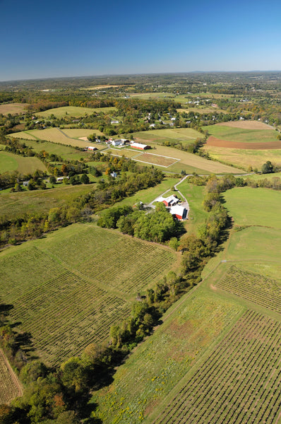 Aerial Photograph of Unionville Vineyards