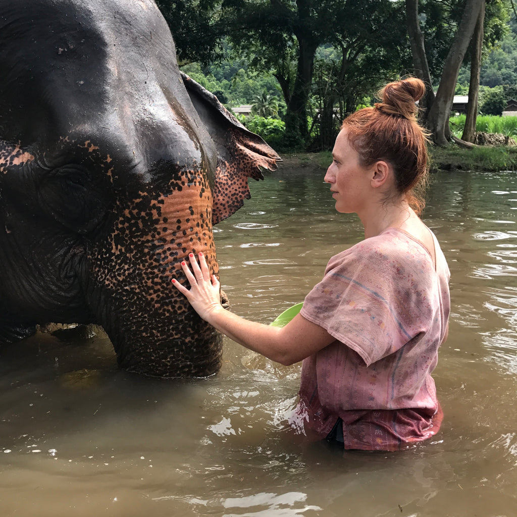 Beks Anderson, Thailand, rescue elephants, Chaos & Harmony
