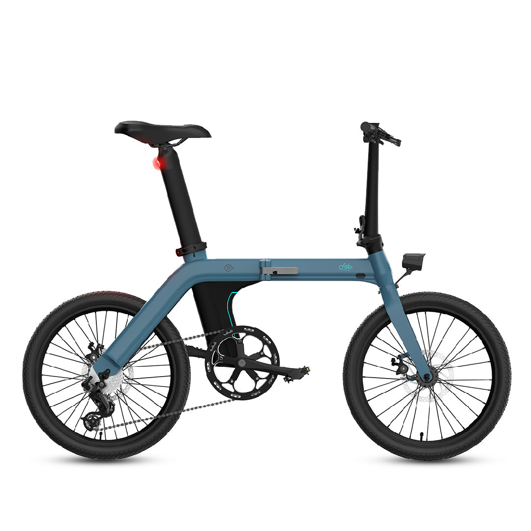 FIIDO D11 Folding Electric Bike 20 Inch Tires 250W Motor 7 Speeds Shift 11.6Ah Lithium Battery
