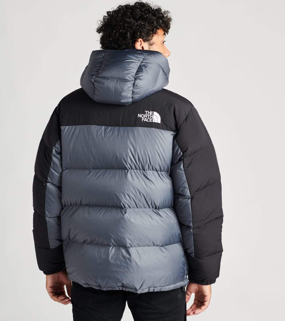 the north face himalayan down