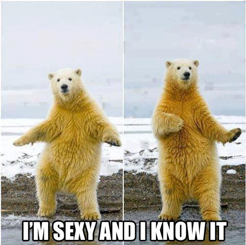 polar bear doing some dancing