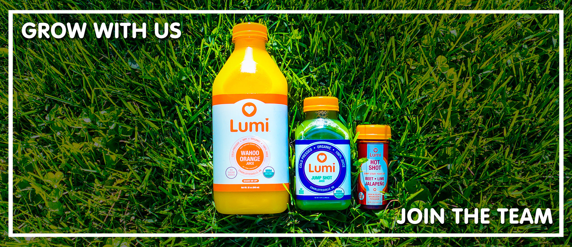 Join The Team at Lumi Juice!