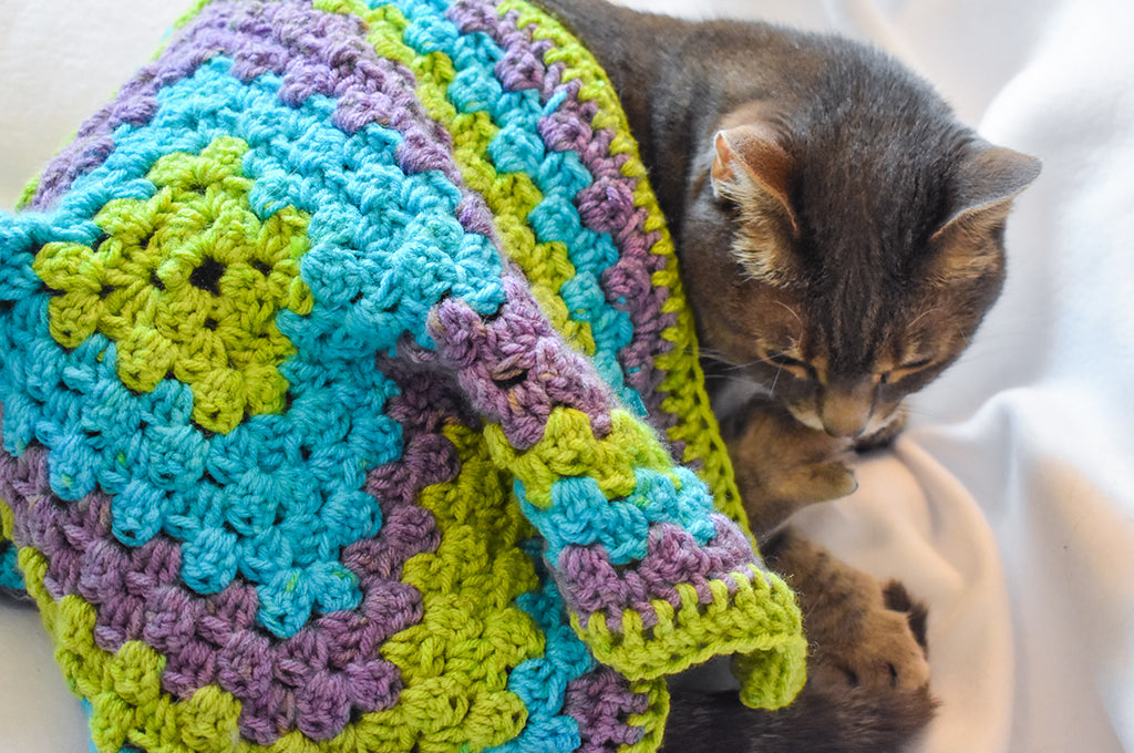 Gray tabby cat Olivia with a Critter Crafting Crochet Cat Mat