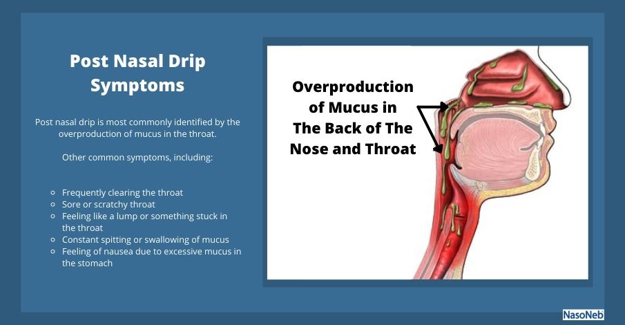 Nasal Drip: Symptoms, And Home Remedies NasoNeb®
