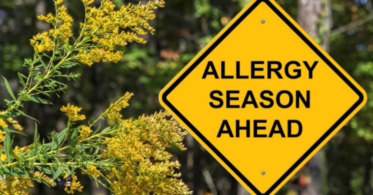 Warning sign that reads "Allergy Season Ahead"