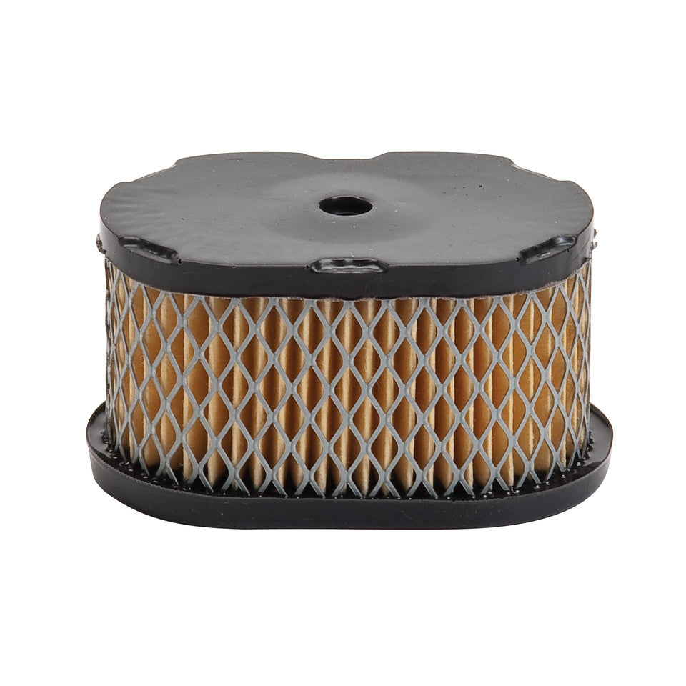 Replacement Briggs & Stratton Air Filter 494586 497725 