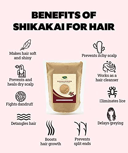 Thanjai Natural Shikakai Powder (Acacia Concinna) 200gm | Natural Hair –  