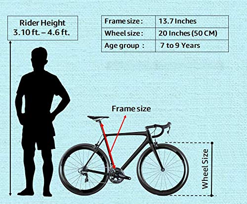 hero flake 20t 6 speed cycle