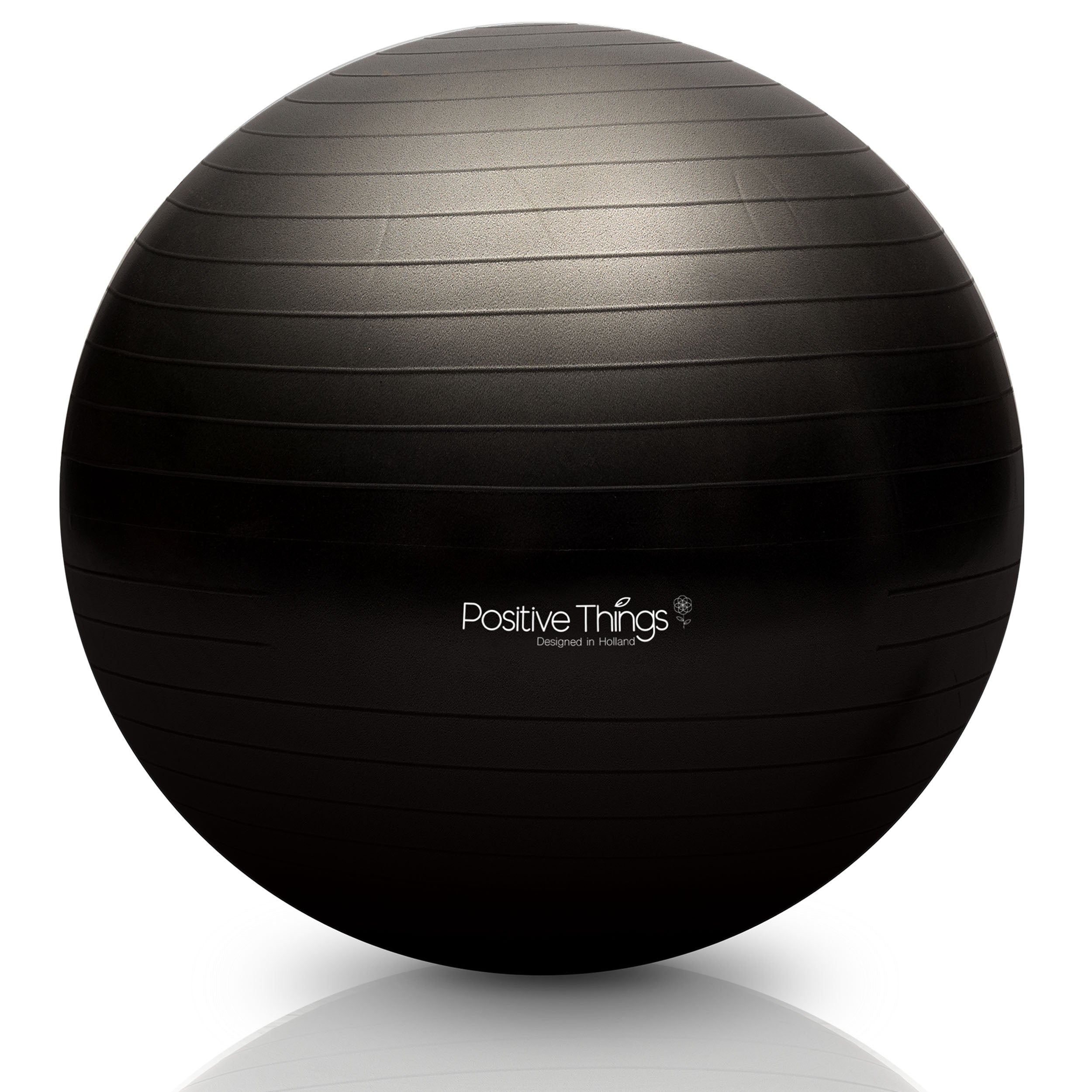 helder Met name Wardianzaak Fitnessbal 65 cm - inclusief pomp - zwart – Positive Things