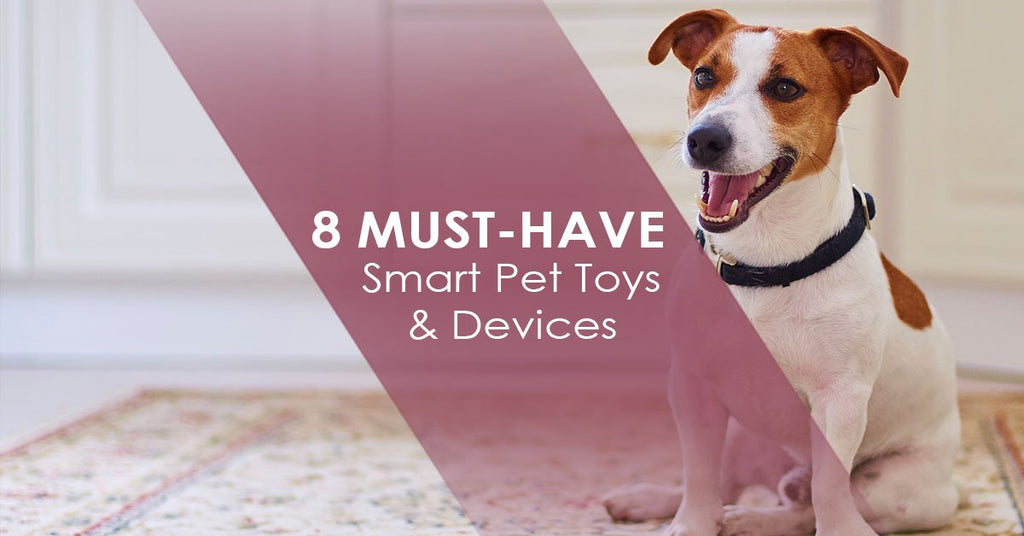 automated dog toys