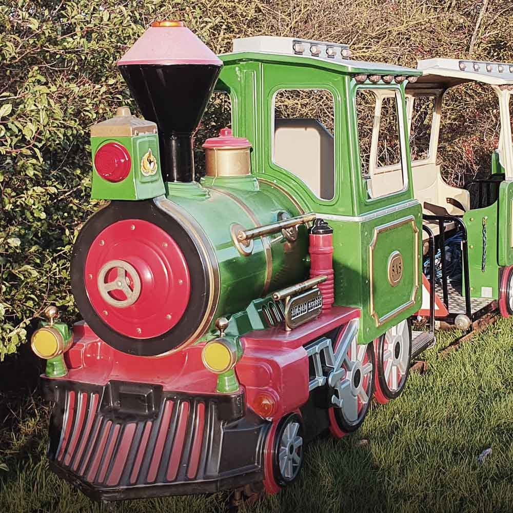 Festive Train Ride amongst the Christmas Tree Village