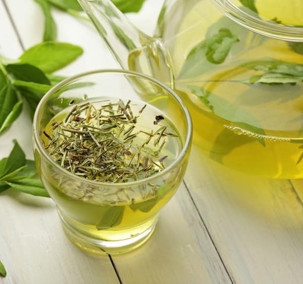 Myths and Facts of Drinking Green Tea