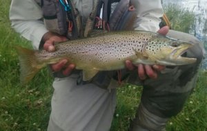 trout flyfishing snowy mountains