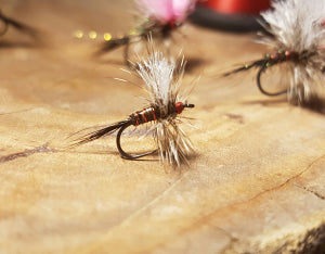 fly from high country outfitters flyfishing shop