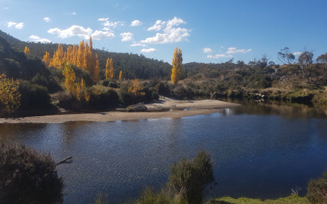 trout flyfishing snowy mountains