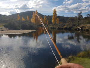 trout flyfishing snowy mountains