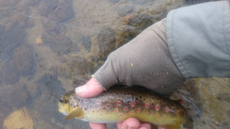 man holding trout catch and release