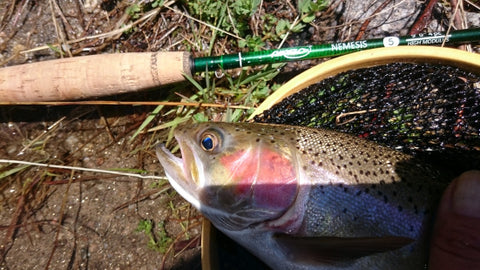 trout fishing snowy mountains